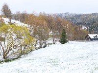 PE1D8878 : Böhmen, Böhmerwald, EUROPA, Frühling, Rehberg, Schnee, Srni, Sumava, Südböhmen, TSCHECHIEN, Winter, _JAHRESZEIT, _REGIONEN