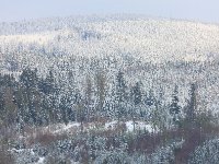 PE1S0037 : Böhmen, Böhmerwald, EUROPA, Frühling, Rehberg, Schnee, Srni, Sumava, Südböhmen, TSCHECHIEN, Winter, _JAHRESZEIT, _REGIONEN