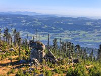 PE1S0297 : BAYERN, Bayerischer Wald, DEUTSCHLAND, Dreisessel, EUROPA, Hochwald, Niederbayern, Sommer, _JAHRESZEIT, _REGIONEN, _Wald