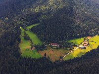 PE1S0425 : Arnbruck, BAYERN, Bayerischer Wald, DEUTSCHLAND, EUROPA, Lamer Winkel, Niederbayern, Sommer, _JAHRESZEIT, _REGIONEN